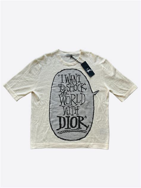 i want to shock the world with dior shirt|2020 'I want to shock the World' T.